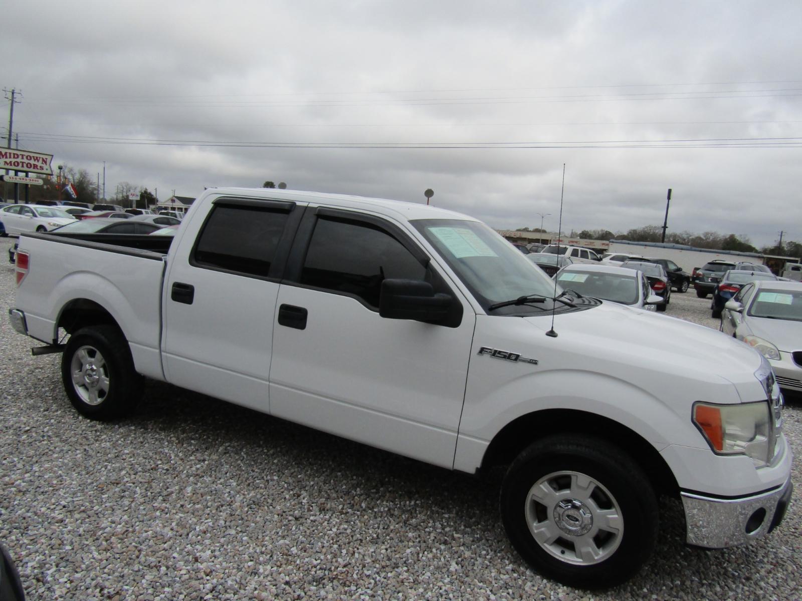 2014 White /Gray Ford F-150 (1FTEW1CM6EF) , Automatic transmission, located at 15016 S Hwy 231, Midland City, AL, 36350, (334) 983-3001, 31.306210, -85.495277 - Photo #0